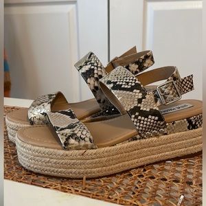 Steve madden Snake Print heels